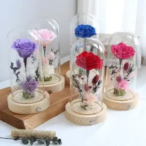 LED 유리돔 장미 무드등 프리저브드 플라워 선물용