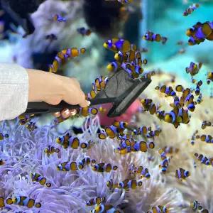 촘촘한 사각 어항뜰채 대형