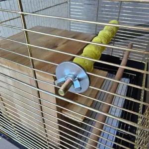 앵무새 발톱 부리갈이 횟대 소