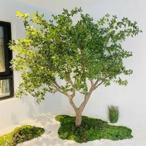 반얀트리 인테리어 인조 대형 조화 카페 야자수 인조식물