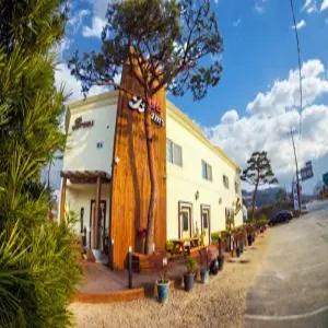 [전북 펜션] 정읍 브람스펜션 (정읍,부안,김제,고창)