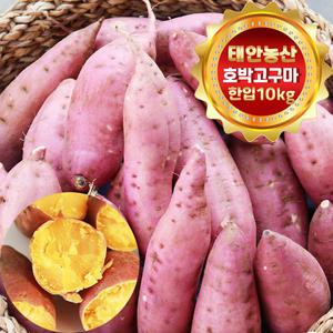 건강한 태안! 안면도 호박고구마 한입(50g~100g) 10kg (박스포함)