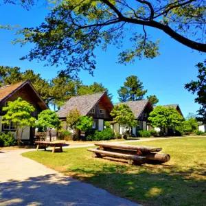 [제주 펜션] 제주 통나무파크펜션 (이호테우,하귀,애월,한림,협재)