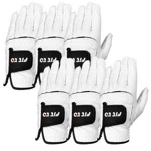 핏토 골프장갑 합피 쿨스킨 남성22사이즈, 6장