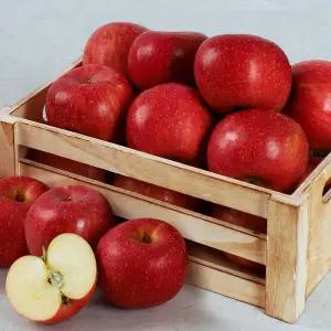 [인정식탁][경상북도][오늘아침사과] 오늘아침 꿀맛사과 5kg 28과/ 13브릭스 이상