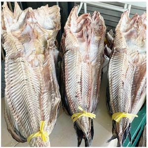 물메기 / 남해안 삼천포 자연산 건조 물메기 2미 1세트