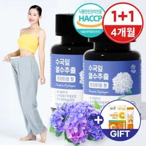 수국잎 열수 추출물 수국 효능 국내산 프리미엄 정 2병(4개월분)