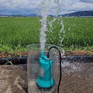 수중펌프 배수 워터 물 양수기 자동 수영장 물빼기 소형펌프