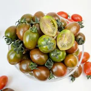 부여 스테비아 방울토마토 1kg 블랙 스윗마토 단마토 망고 스테비아토마토 단토마토