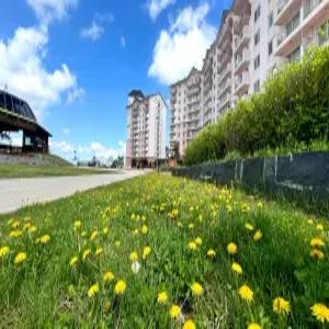 [강원] 오투리조트(강원, 태백)