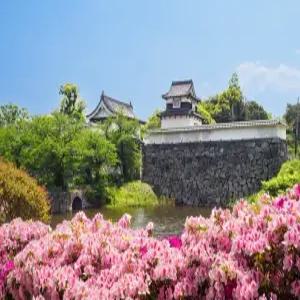 큐슈3일#부산출발#카멜리아#후쿠오카 시내1박#카멜리아로 떠나는 북큐슈 2박3일 #다자이후#마이즈루 공원#라라포트#후쿠오카