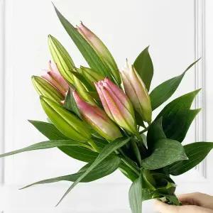 (플라워마켓) 르네브 한단 양재꽃시장 생화 도매 배달