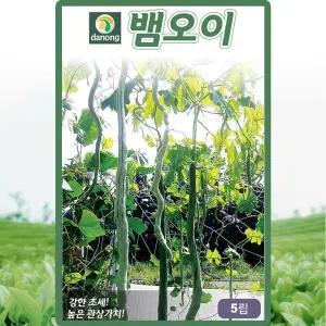 다농 뱀오이 씨앗 5립 덩굴성 사두오이씨 종자