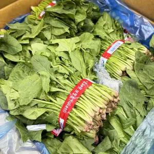 남해 시금치 노지 보물초 시금치 1kg 2kg