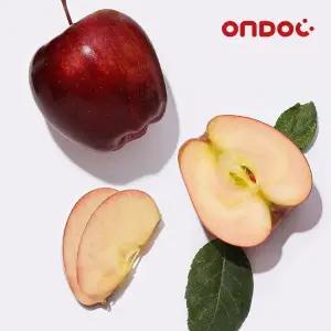 [온도씨]영주 새콤달콤 엔부사과 실속 2kg (10과내외)