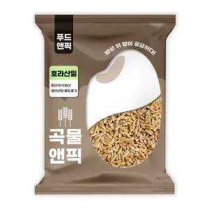 곡물앤픽 수입 호라산밀 10kg 밀쌀 고대곡물