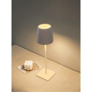 LED 심플 인테리어 키높이 작은 스탠드 침실 침대 램프 충전 터치 무드등 여자 선물