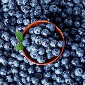 칠레산 냉동 블루베리 1kgx1팩