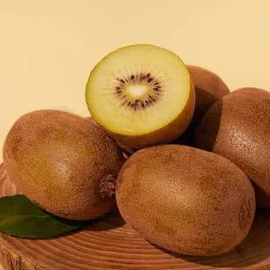 저탄소 국내산 골드키위 410g/팩