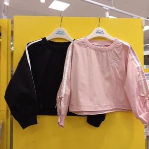 리틀밥독 HC11 로얄티  B243MWP05