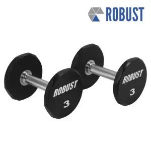 로버스트 아령3kg (2개) 헬스장 덤벨 우레탄 코팅 12각고정