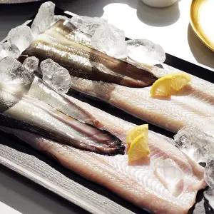 국내산 자포니카 민물장어 기본 특왕 1kg (손질 후 600g 이상)