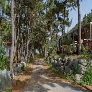 [경북] 울진 207마일 풀빌라(경북, 울진)