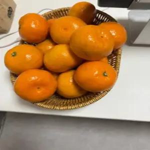 효돈 다우렁 타이벡 제주 서귀포 감귤 5kg (L사이즈)