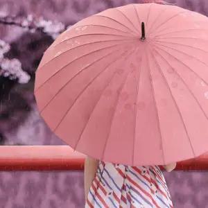 패션 돔형 디자인 레인벚꽃장우산 우천시 방수 여성우산
