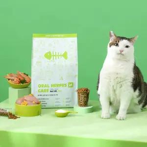 본아페티 고양이 기능성 건식사료 구강면역력, 1kg, 1개