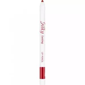 미샤 실키 래스팅 립 펜슬 애플번트 0.25g