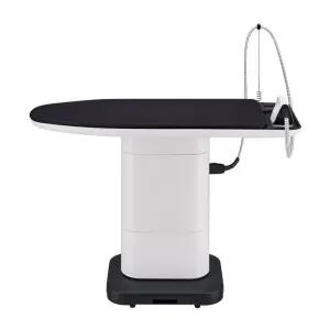 LG전자 시스템 아이어닝 IY15CT80 화이트에센스 바름(무료배송)