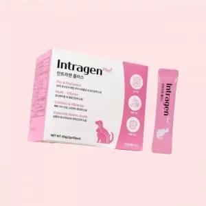 알켐 인트라젠 플러스 30P 분말 애완동물 장면역 영양제 4455427