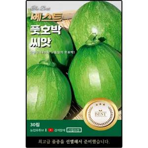 베스트 풋호박 씨앗 30립 맛좋은 재래종 호박씨 종자