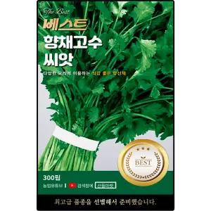 베스트 향채 고수 씨앗 300립 특이한 향이 있는 식감 좋은 향신채 고수씨 종자
