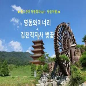 [팔도장터 특별열차]영동 와이너리 & 김천 직지사 벚꽃(4/11일(토) 당일 )