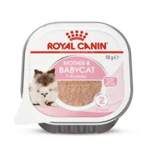 로얄캐닌 마더앤베이비캣캔 트레이 100g x 6개 습식사료 주식캔 아기고양이