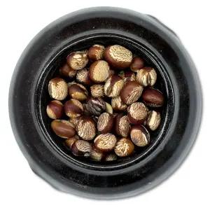 국산 유기농 대추밤콩 아주까리콩 아주까리밤콩