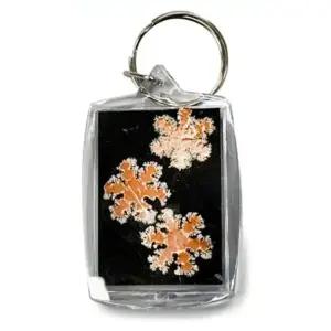 중고등 화학 구리 질산은 은석출 반응실험 열쇠고리 만들기키트 5인 발명심화 탐구력