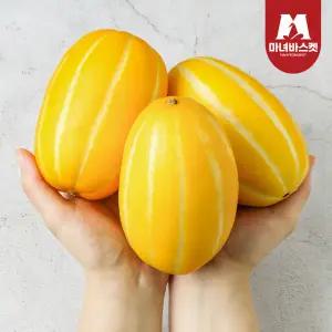(산지직송) 고당도 꿀맛 참외 로얄과 중 5kg (14~16개입)