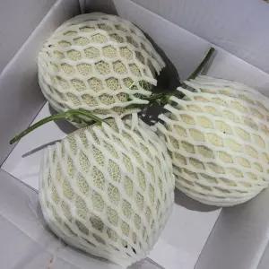 유나네농장 고당도 머스크 세지 메론 멜론 노란색박스 3수 5KG 선물세트