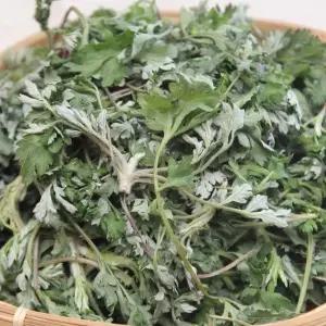 국내산 남해안 봄나물 해풍쑥 500g