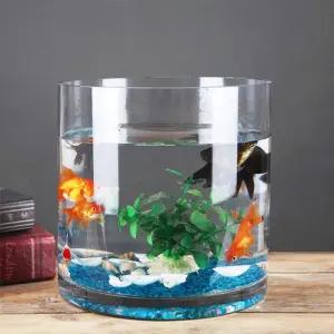 둥근 유리 원형 투명 금붕어 가정용 수족관 수조 원통 거북이어항