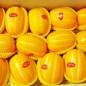 가정용 성주참외용 2kg 10-14과 중소과 성주농협 보증 꿀맛 참외