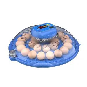 스마트 계란 부화기 자동 조류 메추리알 부화 온도 미니 전원