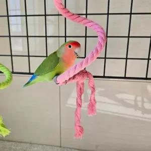 새장 연결 앵무새 놀이터 장난감 로프 횟대 1m