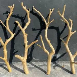 앵무새 놀이터 사다리 대형 조류 그네 횃대 정글짐 나무