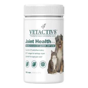 벳엑티브8 조인트헬스플러스 캡슐형 관절영양제