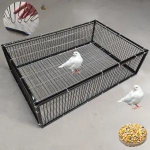 새 참새 케이지 자동 까치 트랩 포획 비둘기 조류 출입문 철제 블랙 퇴치망
