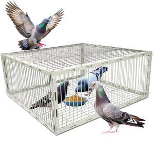 대형 조류를 위한 탈출방지 디자인 u2013 자동 조류 덫 | 여러 비둘기를 철 분말 코팅 녹슬지 않는 L 사이즈의 비둘기 케이지